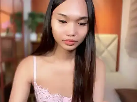 universal_cutie