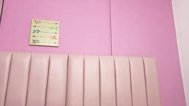 arii_lulpcm