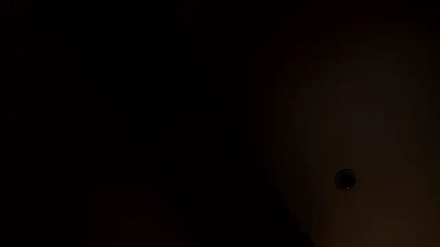 BellaJadee_