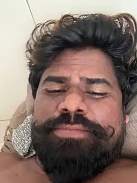 bigdog_ds
