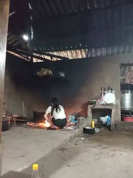 Td3di