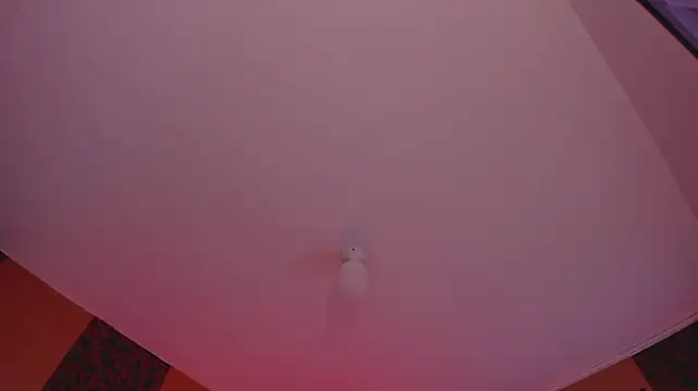 bunny_miaa
