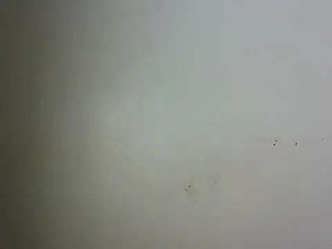 Mochi_24