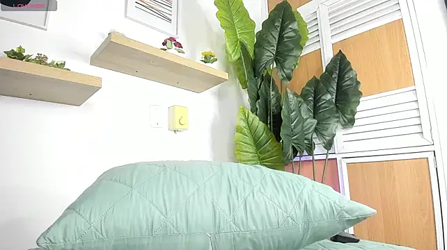 tiny_isawii