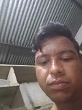 Gato_hot77