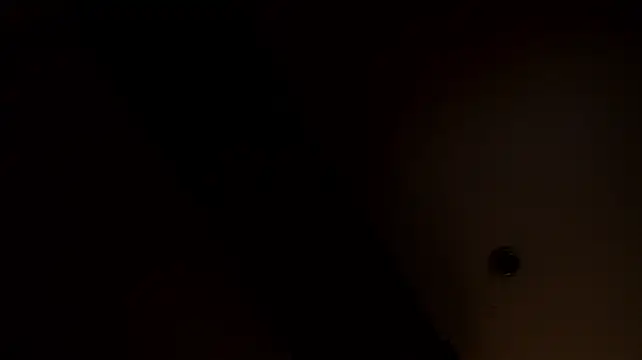 BellaJadee_
