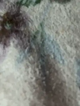 chunaijz1