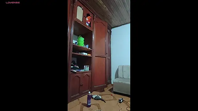 sky_dancers webcam