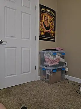 AmethystFoxx webcam