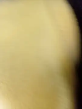 dulcevitasex