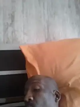 longdickson12345 webcam