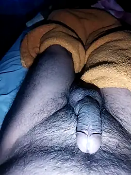 Alexgato69