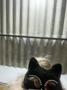 MandyJPk