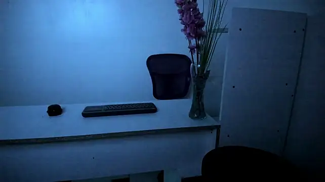 nyxara_fairy live cam on StripChat