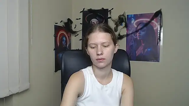 StellaCRL webcam