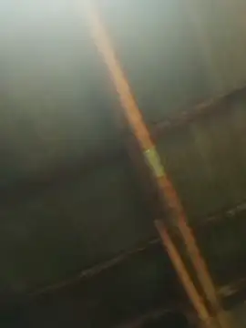 Lluunnaalliigghhtt live cam on StripChat