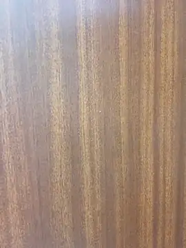 sexy_shital
