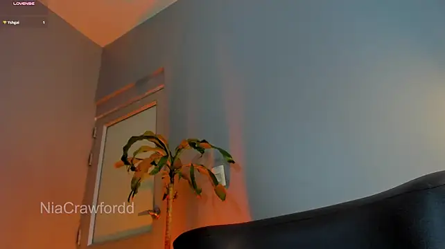 NiaCrawfordd live cam on StripChat