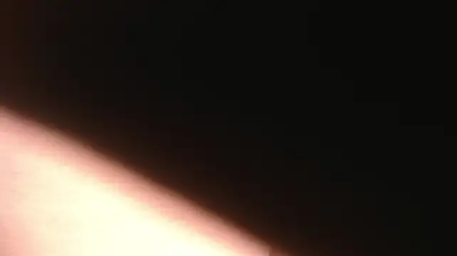 Violeta__Lane