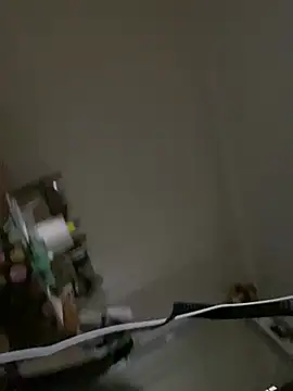 Frosl webcam