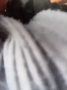 AdelRich live sex cam