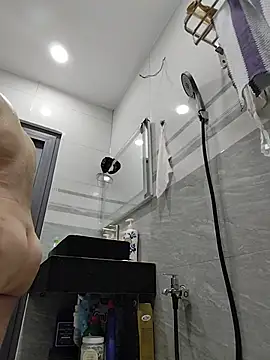 Fanritar webcam