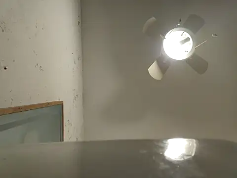 tropikboy