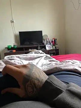 novinhodopaugraudo