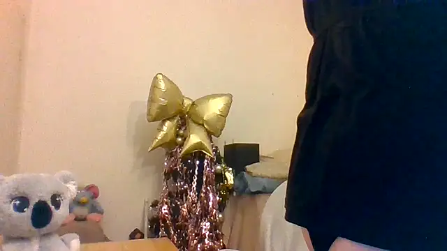 Ally46x webcam