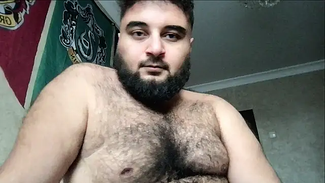 teddy_alan