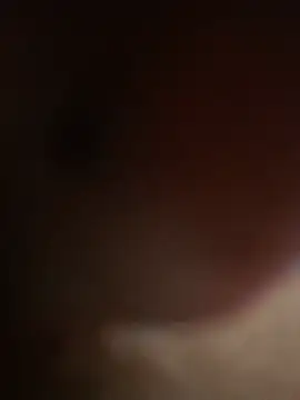 mem254