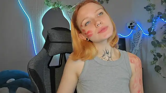Elastikisss webcam