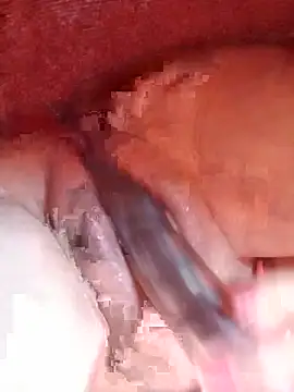 baixinhainsaciavel23