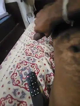 vickybhai010 live sex cam