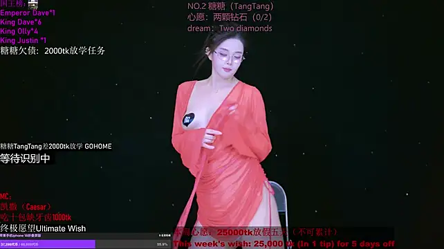 CCTW-100