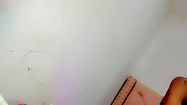 xsofiacastro