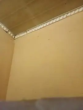CorkyGalaxy
