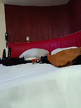 Cuchurus12166