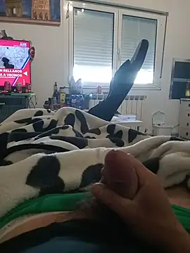 maxbigol live cam on StripChat