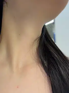 Aria51 webcam