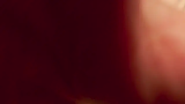 Lilia_blossom webcam