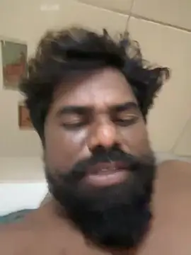 bigdog_ds