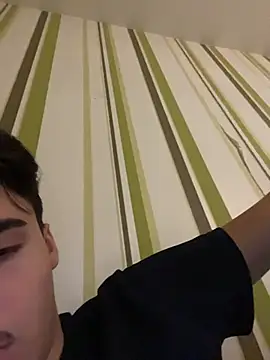 Lilostex