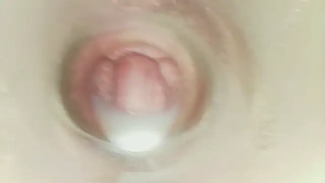 karol_stom