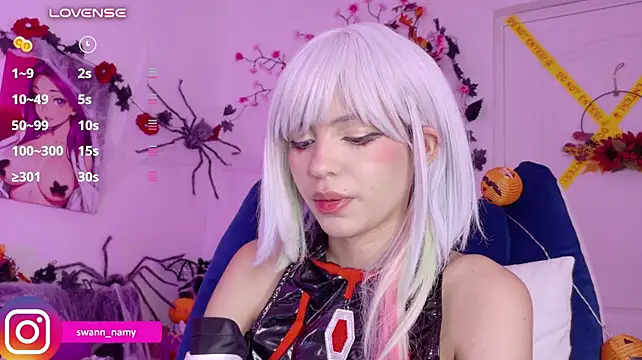 Swannamy webcam