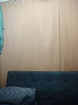 Heartsarm webcam