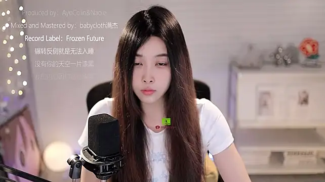 SleepArtist webcam
