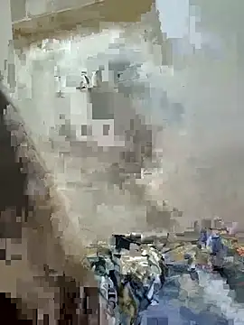 telugu_bull_hyd28 webcam