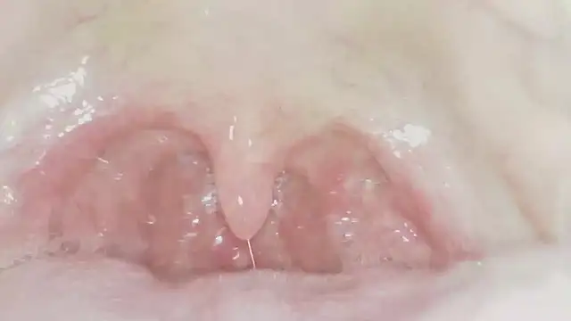 karol_stom