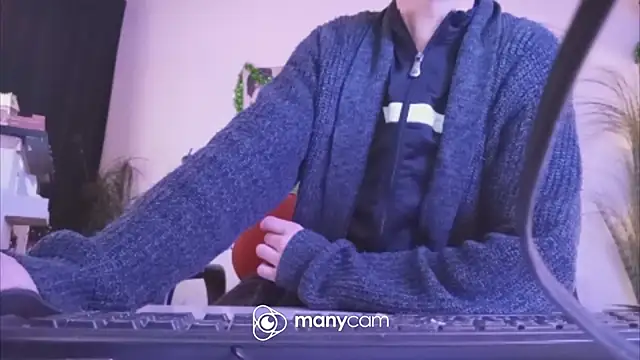 der_dino30